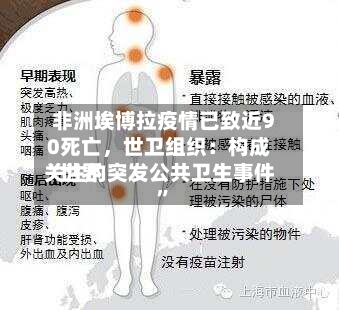 非洲埃博拉疫情已致近90死亡，世卫组织：构成“世界关注的突发公共卫生事件”-第2张图片