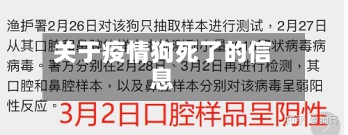 关于疫情狗死了的信息-第2张图片