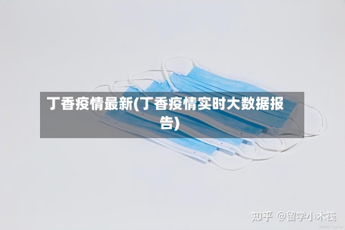 丁香疫情最新(丁香疫情实时大数据报告)