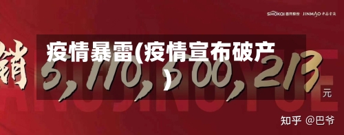疫情暴雷(疫情宣布破产)-第3张图片