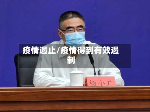 疫情遏止/疫情得到有效遏制