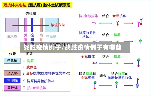 战胜疫情例子/战胜疫情例子有哪些