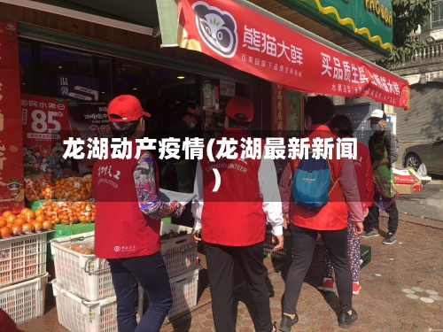 龙湖动产疫情(龙湖最新新闻)-第2张图片
