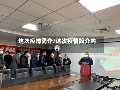 这次疫情简介/这次疫情简介内容