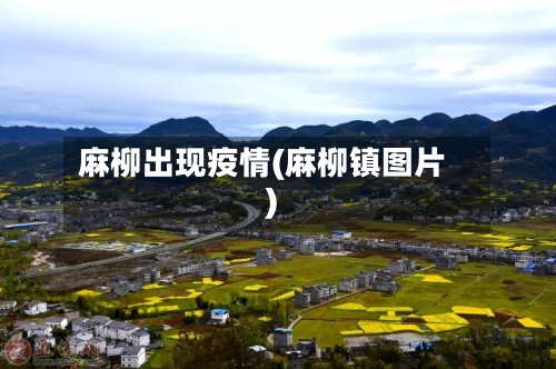 麻柳出现疫情(麻柳镇图片)-第2张图片