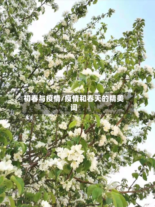 初春与疫情/疫情和春天的精美词-第3张图片