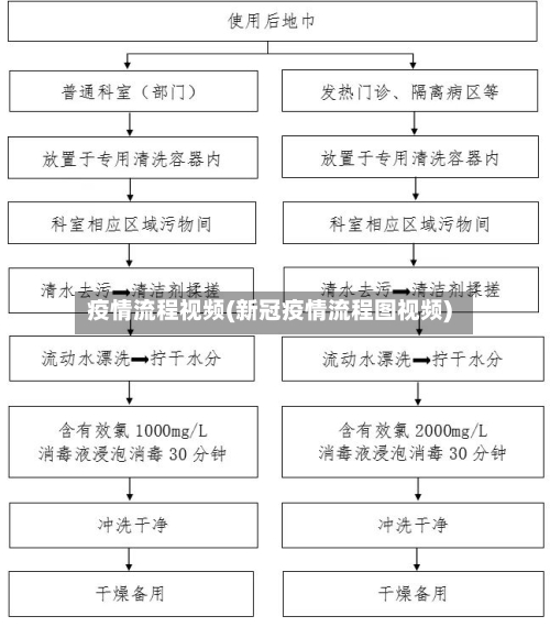 疫情流程视频(新冠疫情流程图视频)-第2张图片