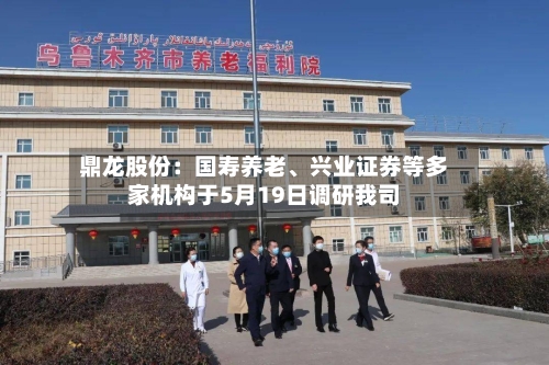 鼎龙股份：国寿养老、兴业证券等多家机构于5月19日调研我司-第3张图片
