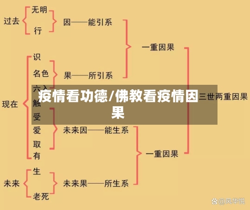 疫情看功德/佛教看疫情因果-第2张图片