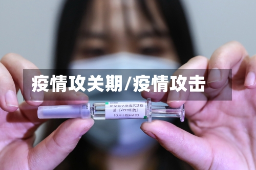 疫情攻关期/疫情攻击