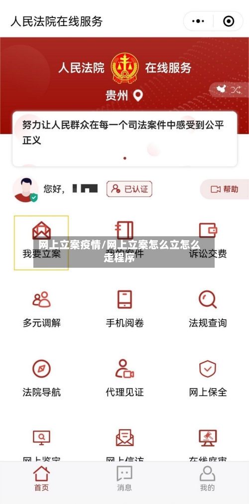 网上立案疫情/网上立案怎么立怎么走程序