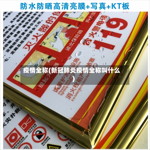 疫情全称(新冠肺炎疫情全称叫什么)-第3张图片