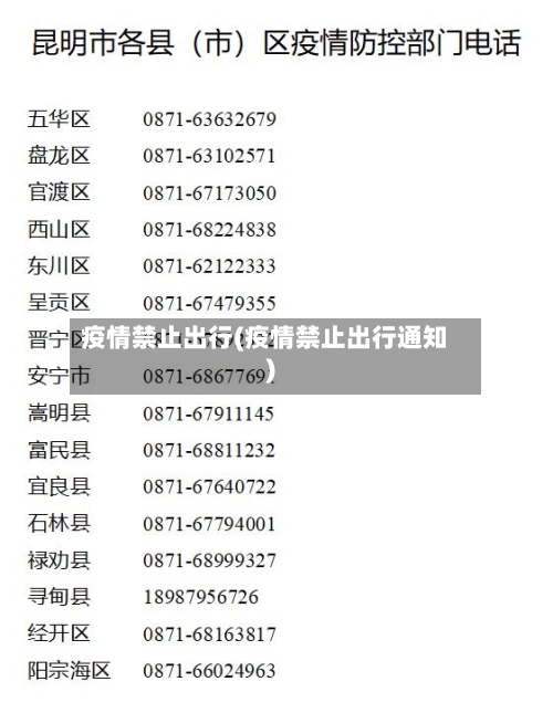 疫情禁止出行(疫情禁止出行通知)