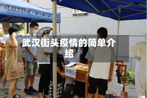 武汉街头疫情的简单介绍