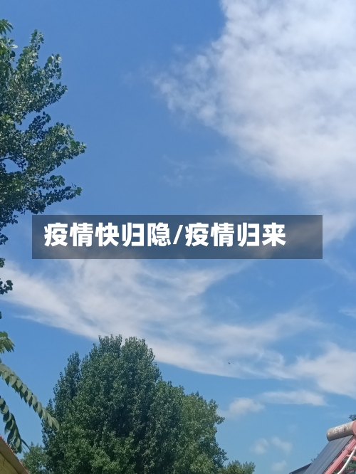 疫情快归隐/疫情归来