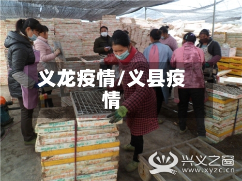 义龙疫情/义县疫情