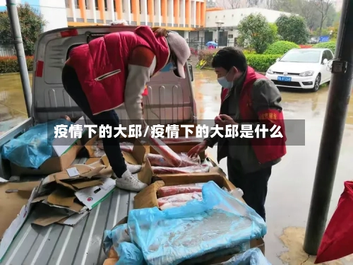 疫情下的大邱/疫情下的大邱是什么