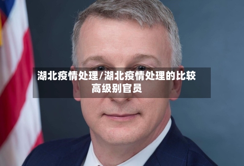 湖北疫情处理/湖北疫情处理的比较高级别官员