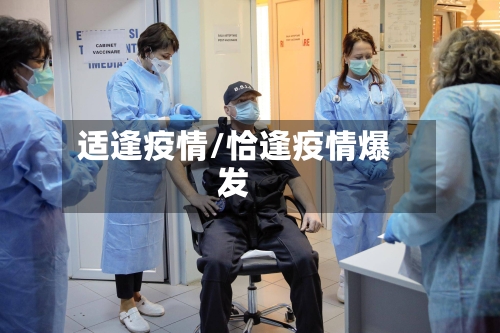 适逢疫情/恰逢疫情爆发-第3张图片
