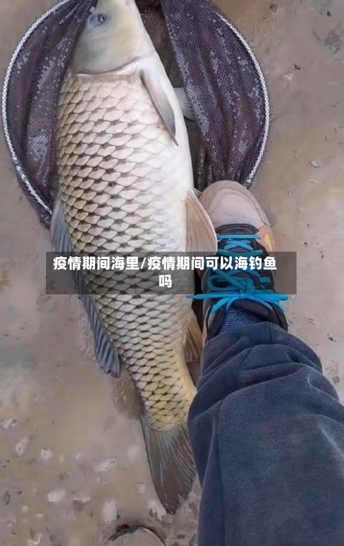 疫情期间海里/疫情期间可以海钓鱼吗-第2张图片