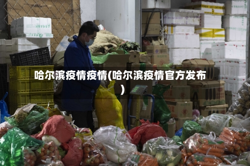 哈尔滨疫情疫情(哈尔滨疫情官方发布)-第2张图片