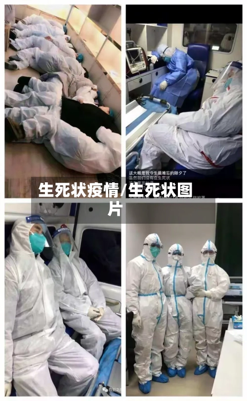 生死状疫情/生死状图片-第3张图片
