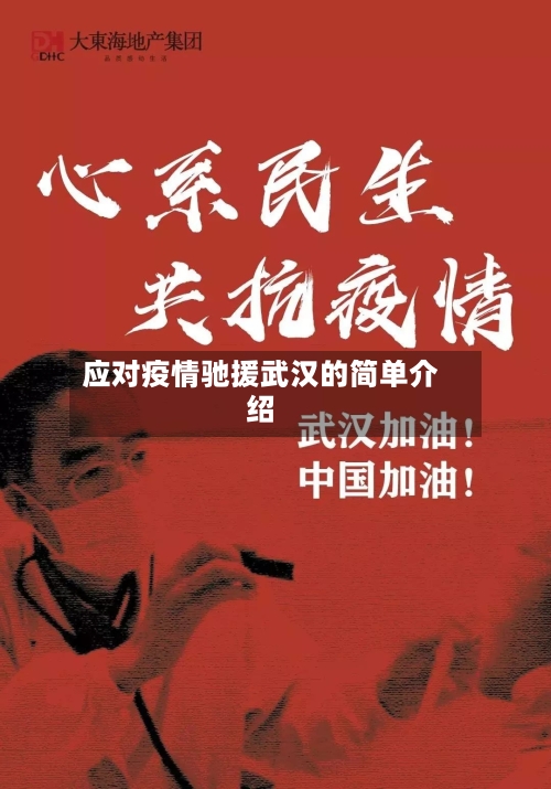 应对疫情驰援武汉的简单介绍