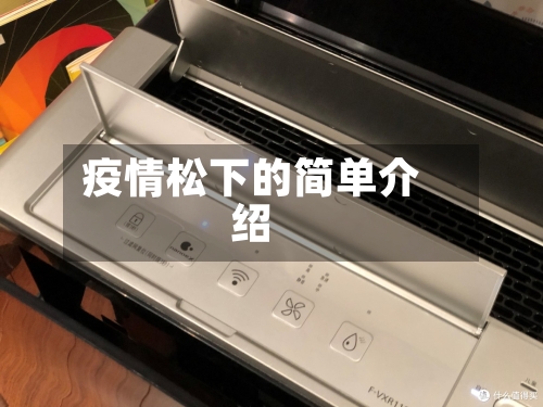 疫情松下的简单介绍