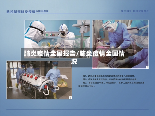 肺炎疫情全国报告/肺炎疫情全国情况-第3张图片