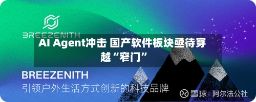 AI Agent冲击 国产软件板块亟待穿越“窄门”-第3张图片