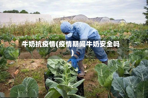 牛奶抗疫情(疫情期间牛奶安全吗)-第3张图片