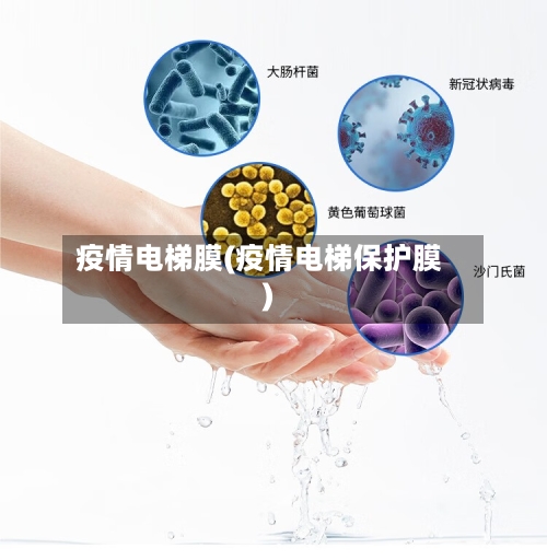 疫情电梯膜(疫情电梯保护膜)