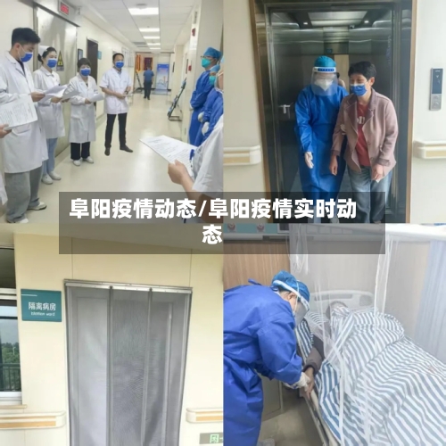 阜阳疫情动态/阜阳疫情实时动态-第3张图片